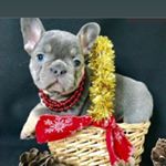 Profile Picture of Gerald Bradley (@gerald.bradley.9619) on Instagram