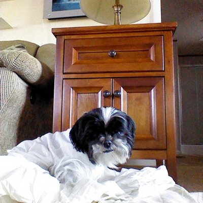 Profile Picture of Charles Cantrell (@Chucklez17) on Twitter