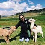 Profile Picture of Letty Janett Zavaleta Alcalde (@lettyjanettzavaleta) on Instagram