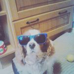 bandon hyden falls lol - Instagram Profile Picture of bandon hyden falls lol (@brandonhydenfalls) on Instagram