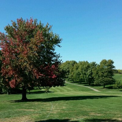 Profile Picture of Mark Nance (@Ecnankram) on Twitter