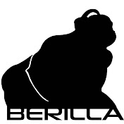 Profile Picture of Berilla (@berilla6427) on Youtube
