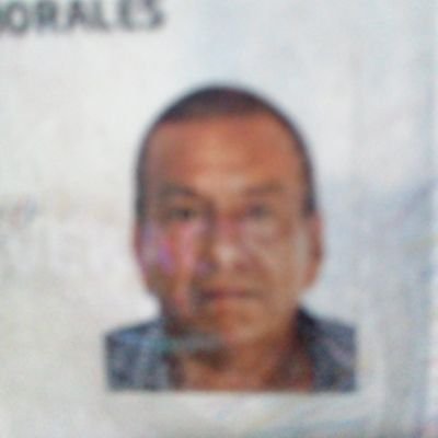 Profile Picture of Heriberto Cordero (@Heriber96637302) on Twitter