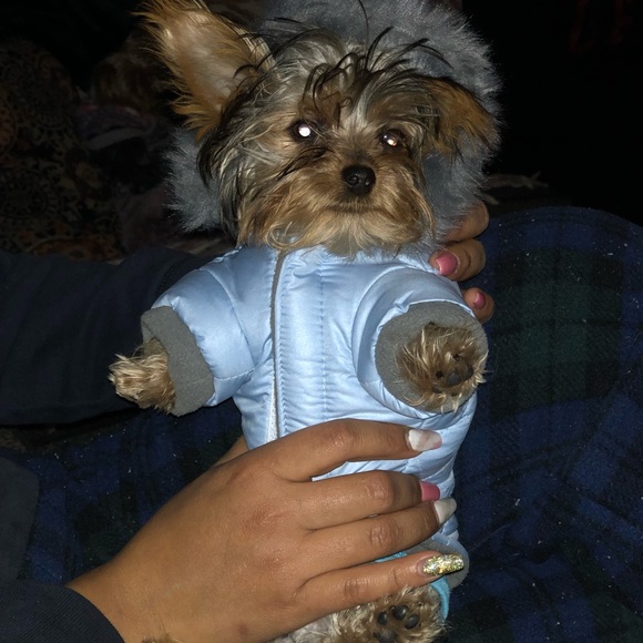 Profile Picture of Omar Roman (@omarroman) on Poshmark