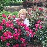 Profile Picture of Noelle Hendricks (@noelle.hendricks) on Instagram