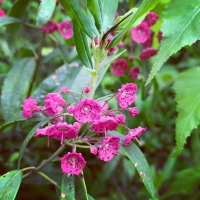 Profile Picture of Alex Romano (@aromano122) on Twitter