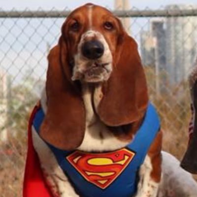 Profile Picture of Ryan Malpiede (@RMalpiede) on Twitter