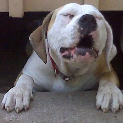 Profile Picture of Deanna Matthews (@deeja82176) on Twitter
