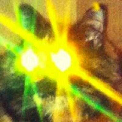 Profile Picture of Jeremy McGee (@mrmcgee2010) on Twitter