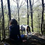 Profile Picture of jill martel (@scarlet_jm) on Instagram