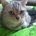Profile Picture of Michael Allstädt (@michael.allstadt.5) on Facebook