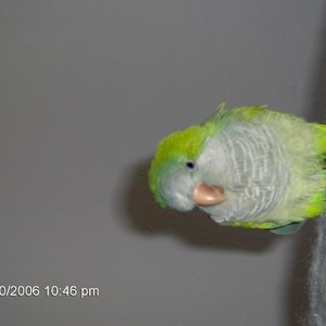 Profile Picture of Kim Janish (@413539053) on Myspace