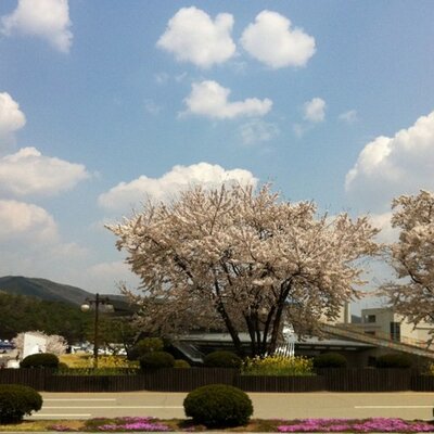 Profile Picture of INYOUNG CHOI (@Renrong87) on Twitter