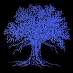 Profile Picture of Brian Neeley (@bdneeley) on Instagram