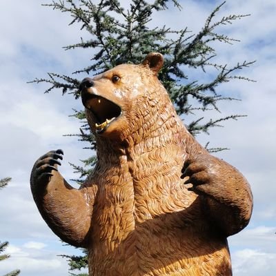 Profile Picture of Stephen (@StephenSuthes) on Twitter