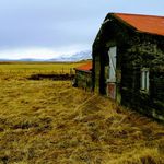 Profile Picture of Jennifer Pulliam (@jenniferlpulliam) on Instagram