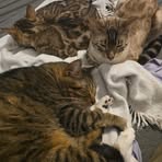 Profile Picture of Corey Basney (@corey.basney.5) on Facebook