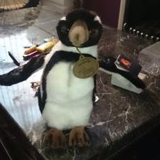 Profile Picture of Liam Frost (@liamfrost1234) on Twitter