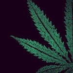 Profile Picture of Bryan Goodell (@for_real_the__trippyking) on Instagram