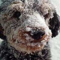 Profile Picture of Jodi Rich (@jodi-rich-2) on Quora