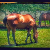 Profile Picture of Stephanie Van Hansen (@stephanievanhansen8486) on Youtube