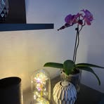 Profile Picture of Jakub Drozd (@Jakub-Drozd) on Facebook