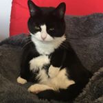 Profile Picture of Karl Garrett (@karl2433) on Instagram