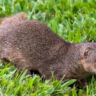 Profile Picture of Brian Thuesen (@TZ3N) on Twitter