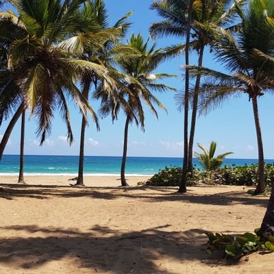 Profile Picture of JOSÉ JAVIER ROGEL (@JOSROGEL) on Twitter