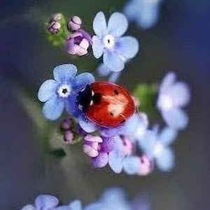 Profile Picture of paolastrezzi (@paolastrezzi) on Tiktok