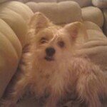 Profile Picture of Kim Collyer (@kac4560) on Instagram