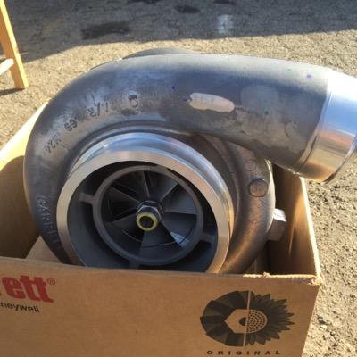 Profile Picture of Alex Zambrano (@elpaisaek9) on Twitter