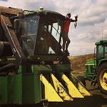 Profile Picture of Andy Page (@au_crops_agent) on Instagram