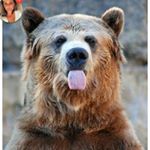 Profile Picture of Aaron Gunn (@bear12287) on Instagram