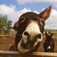 Profile Picture of Daniel Mules (@daniel-mules) on Quora
