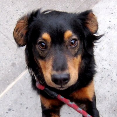 Profile Picture of Stan Sagner (@ssagner) on Twitter