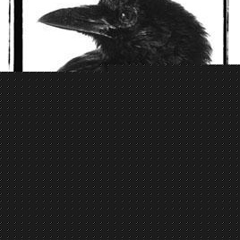 Profile Picture of Tracy Danielson (@krahe1963) on Myspace