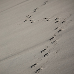 James Franklin - Flickr Profile Picture of James Franklin (@vosneromanee) on Flickr