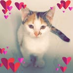 Profile Picture of Chance Yoho (@chanceyoho) on Facebook