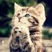 Profile Picture of Anita Rutter (@anitaruttermua) on Pinterest