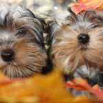 Profile Picture of kendall faulkner (@faulkner.kendall) on Instagram