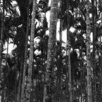 Profile Picture of Jeremy Harris-Evans (@jeremyhe25) on Instagram