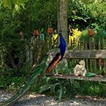 Profile Picture of David Grenon (@david.grenon.77) on Instagram