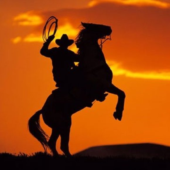 Profile Picture of Fort Contributor (@thefortinc) on Poshmark