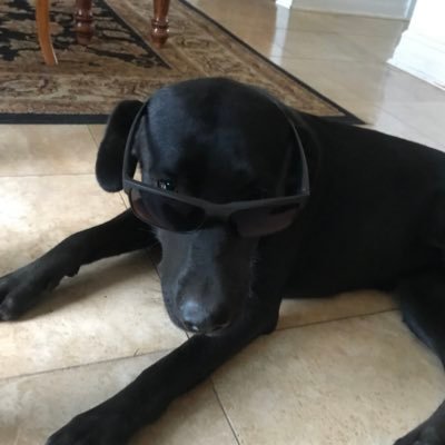 Profile Picture of Pat Pettit (@ducey02) on Twitter