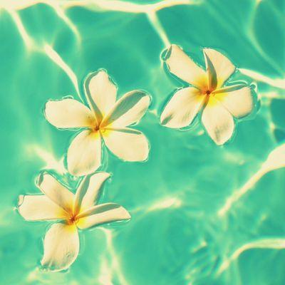 Profile Picture of Kim Shirley (@kimshirley11) on Twitter