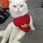 Profile Picture of David Robert Taylor Drillbit (@davidtaylordrillbit) on Instagram