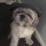 Profile Picture of Jim Goodall (@jim.goodall.7906) on Instagram