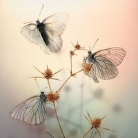 Profile Picture of Kiran Joseph (@kiran-joseph-27) on Quora