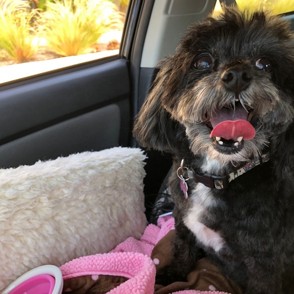 Profile Picture of Marcy Brewer (@sookiebrew) on Poshmark